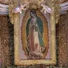 evaanguiano355 - @evaanguiano355 - TikTok