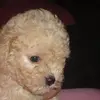 Eva Arechiga - @eva.arechiga - TikTok