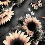Eva Ash - Facebook