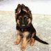 Eva Bako - Facebook