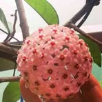 Eva Ball - Facebook