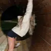 eva_balls.69 - @eva_balls.69 - TikTok