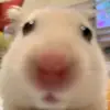 eva_bandy - @footages_2404 - TikTok