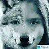 dizzycat  26 😻😻😻 - @evabarela - TikTok