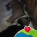 Ea Borela - Facebook