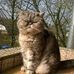 Eva Barth - Facebook