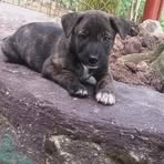 Eva Bastida - Facebook
