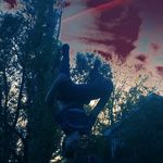Evan Battermann - @evan_batts - Instagram