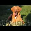 evabeachlover - @evabeachlover - TikTok
