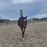 Eva - @eva_van_beers - Instagram