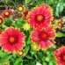 Eva Behrendt - Facebook