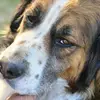Evi Behrendt - @evi.behrendt - TikTok