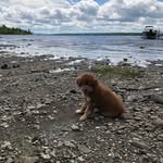 Eve Bélanger - @eve.belanger.35 - Instagram