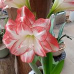 Eva Bergen - Facebook