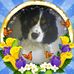Eva Bergh - Facebook