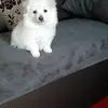 Iacob Bergheva622 - @bergheva - TikTok