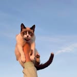a storm of claws and attitude.





eva! - @eva_berkaoui - Instagram