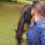 evaberk - @evaberk1 - Instagram