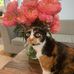 Eva Berman - Facebook