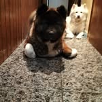 Eva Bermejo Vozmediano - @bermejo_eva - Instagram