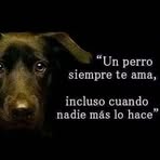Eva Bernabe - Facebook
