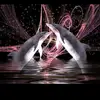 Eva Bernhardt - @evabernhardt - TikTok