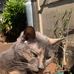 Eva Bertram - Facebook