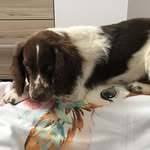 Eva Beutel - @heckmann.eva - Instagram