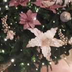 Eva Bevilacqua - Facebook