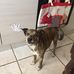 Eva Bianchi - Facebook