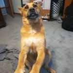 Evan Blaney - @evanblaney_ - Instagram