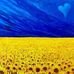 Eva Blevins - Facebook