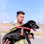🦮_EVA_🐕 - @eva__block4 - Instagram