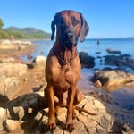Éva Bodor-Mázló - @eva_mazlo - Instagram