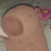 Eva Bohn - @evabohn69 - TikTok