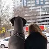 evabonehorton - @evabonehorton - TikTok