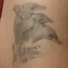 Èva boros 😅😀😁 - @vaboros2 - TikTok