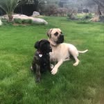 Eva Dal Bosco - @neynette77 - Instagram
