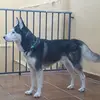 Eva Arroyo Botello - @evabracana - TikTok
