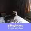 Eva Bouchard - @evafarias663 - TikTok
