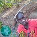 Evans Bowen - Facebook