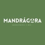 Eva Bracamontes - @mandragorasite - Instagram