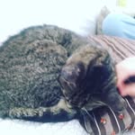 Eva Ruth Bradford - @evaruthbradford - Instagram
