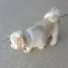 eva.bradford - @eva.bradford - TikTok