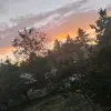 Eva Bradshaw - @eva.bradshaw - TikTok