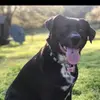 Evan Brannon - @evan22brannon - TikTok