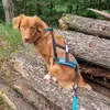 evabrenner - @evabrenner183 - TikTok
