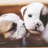 Eva Brewer - @eva.brewer - TikTok