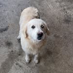 @evan_brosnan04 - Instagram