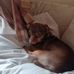 Eva Brower - Facebook